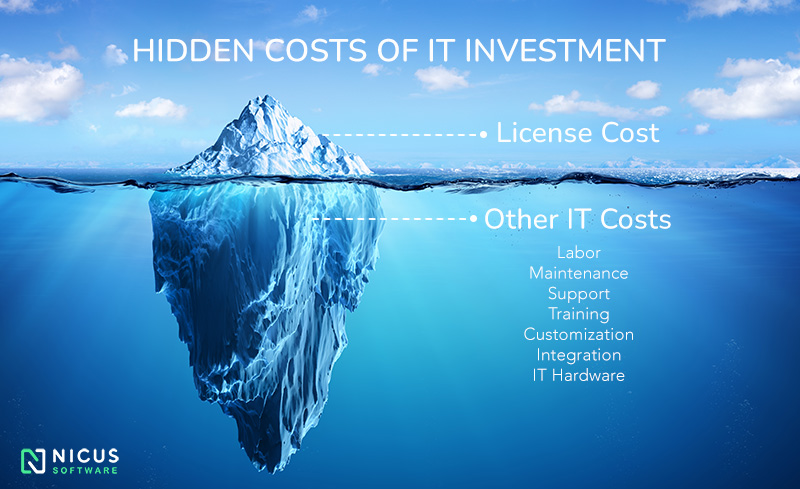 IT Application Costs Iceberg