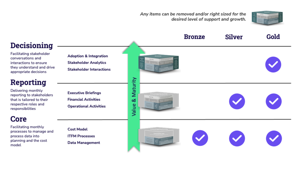 Managed ITFM Services Levels